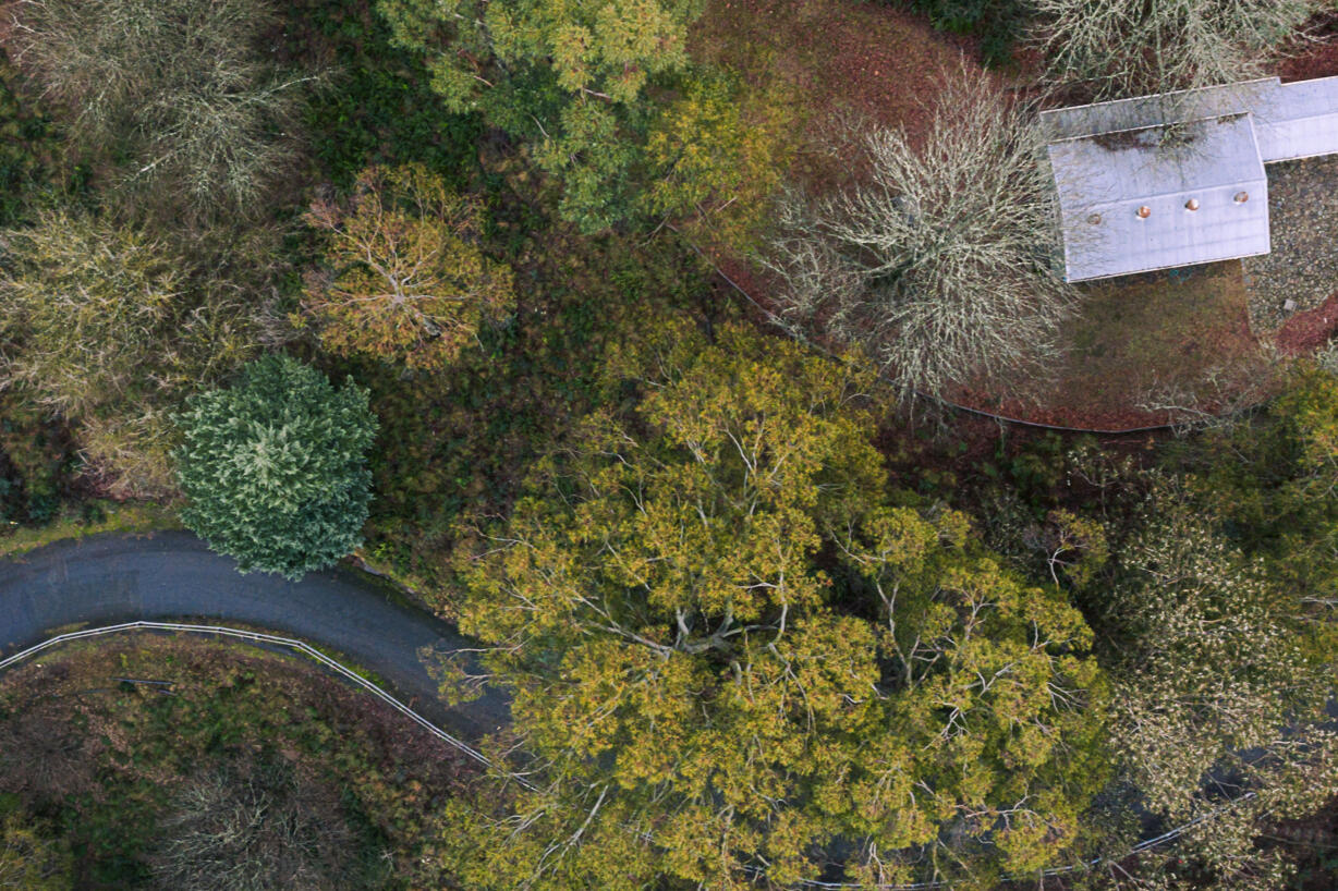 Aerial Videography